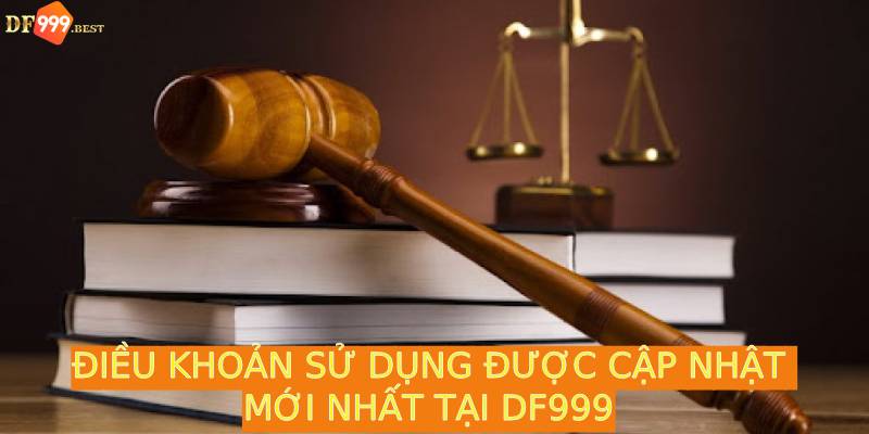 Hiểu rõ những điều khoản sử dụng mới nhất 2024 tại DF999